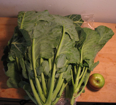 Fresh Collard Greens Bunch, Each